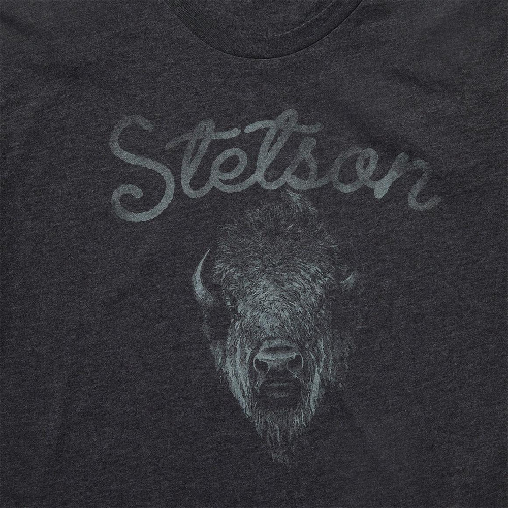 Bison Spirit Graphic Tee Black | Men Stetson Tees