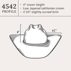 Rincon 10X Straw Cowboy Hat Natural | Men/Women Stetson Western