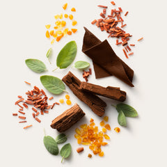 Stetson Spirit Shaving Cream | Men Stetson Grooming