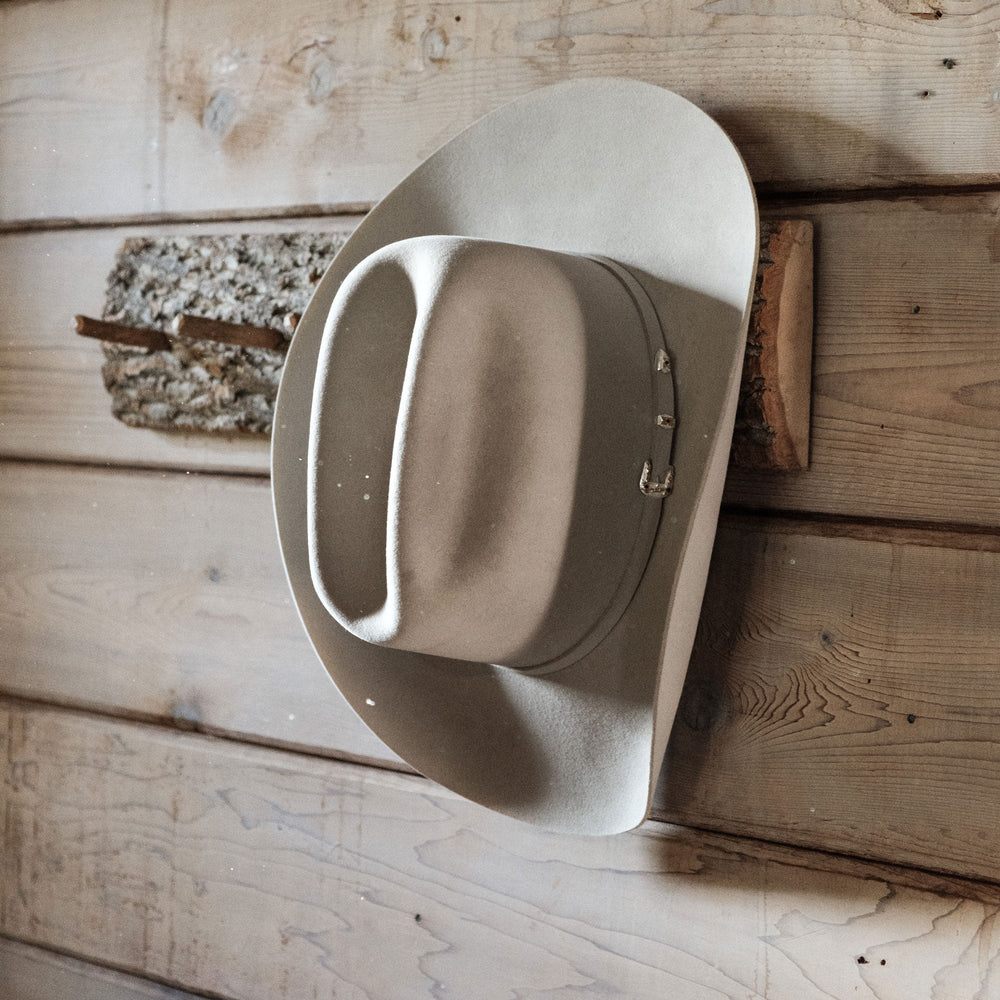 El Patron 48 Premier 30X Cowboy Hat Silverbelly | Stetson
