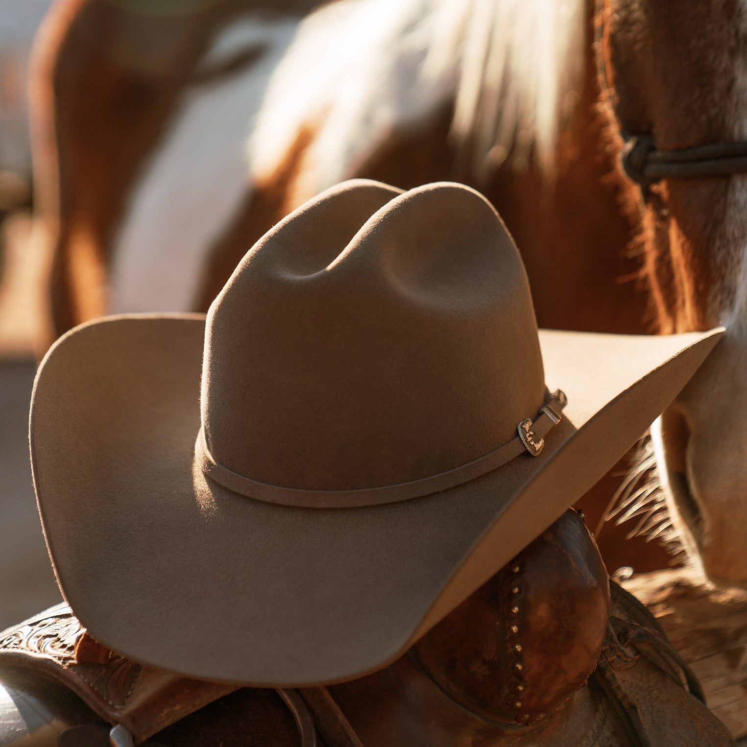 Skyline 6X Cowboy Hat Sahara | Stetson