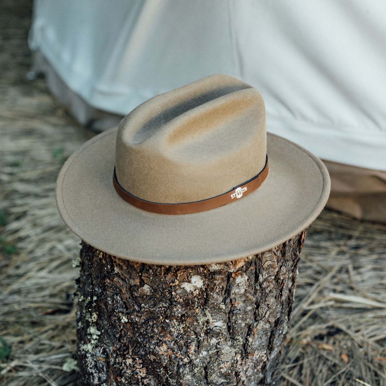 The Route 66 Mushroom | Stetson