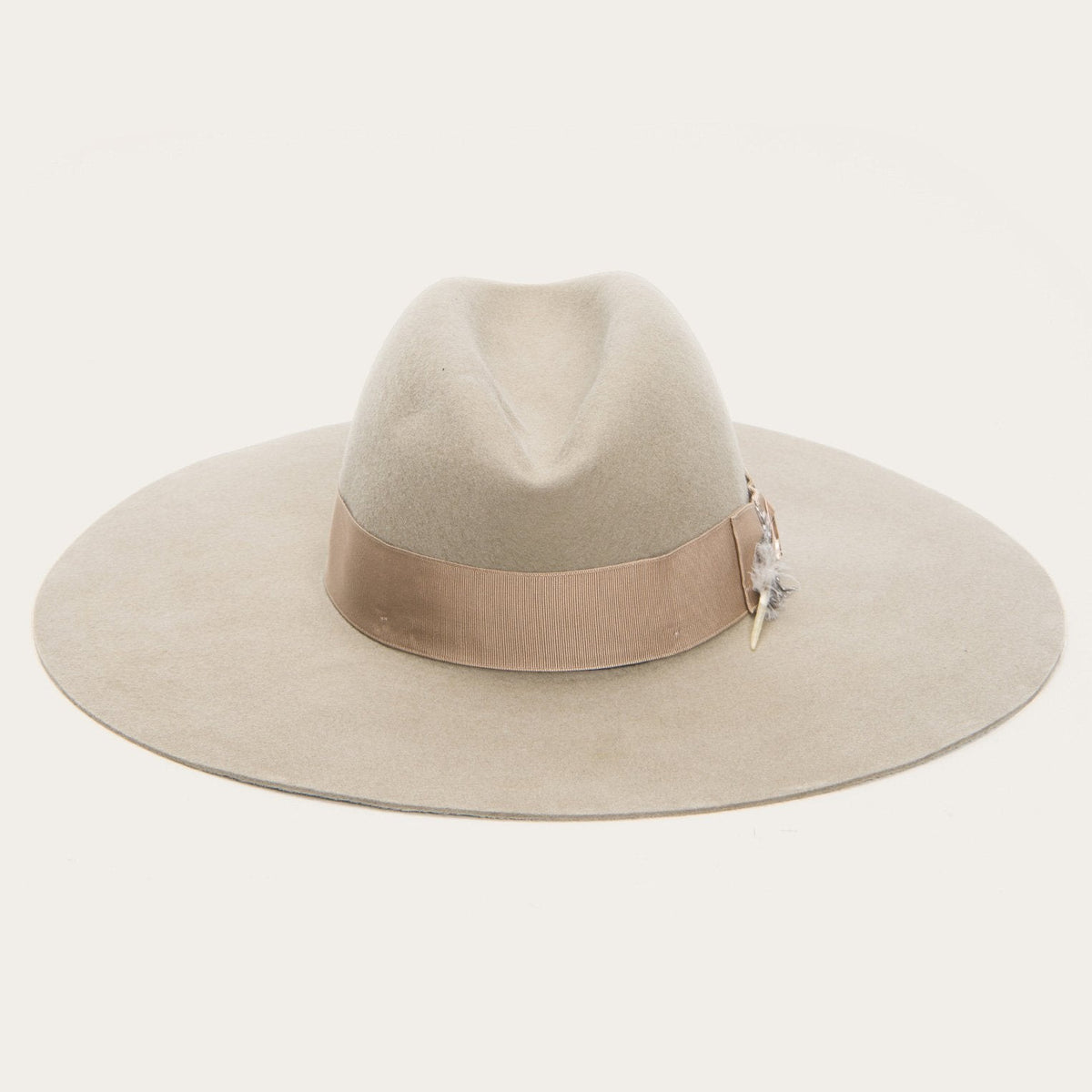 The Rapture Mushroom | Stetson