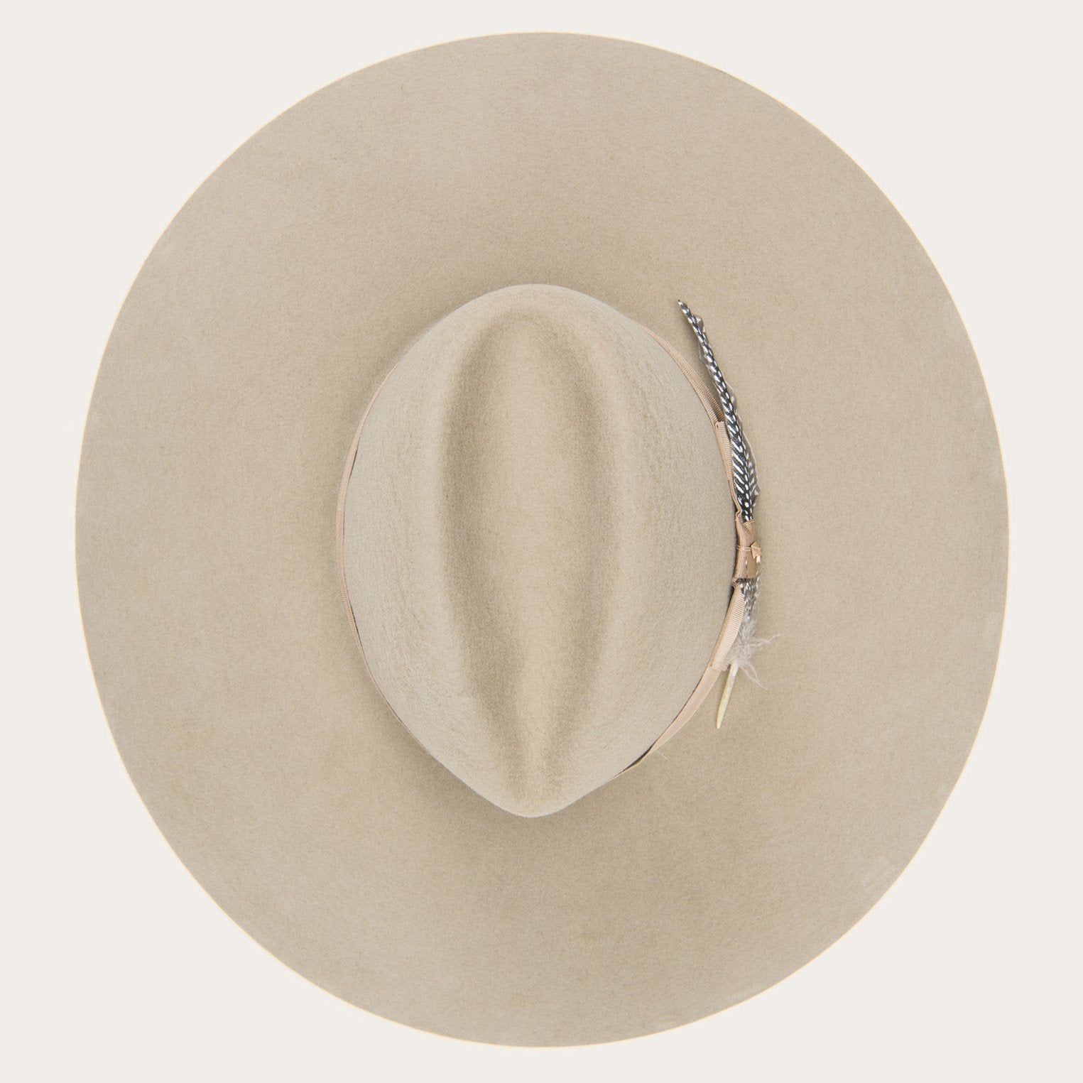 The Rapture Mushroom | Stetson
