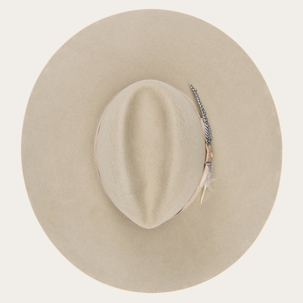 The Rapture Mushroom | Stetson