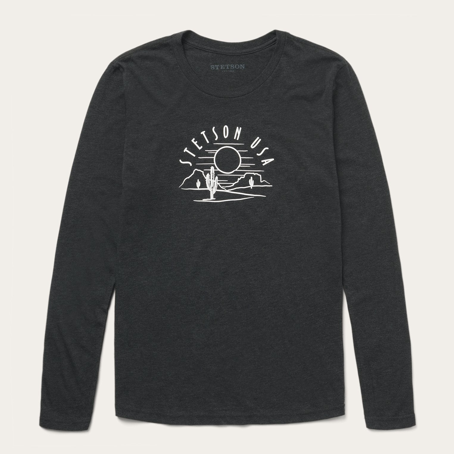 Cactus And Sunset Graphic Tee Black | Stetson
