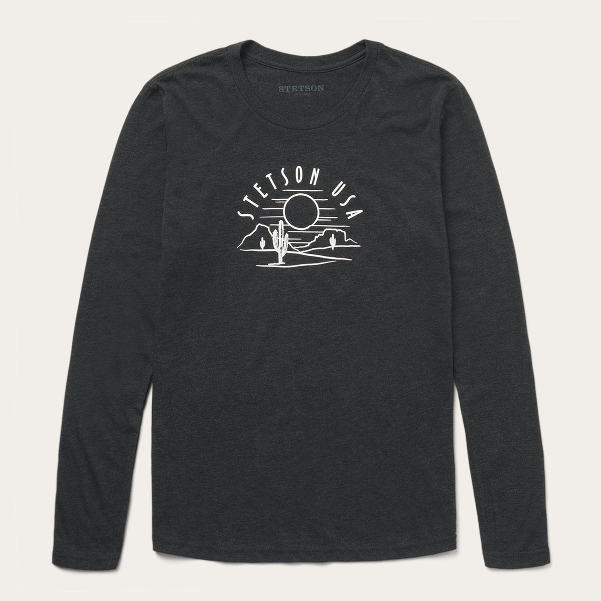 Cactus And Sunset Graphic Tee Black | Stetson