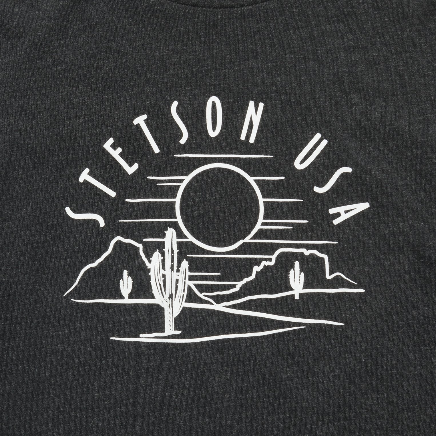 Cactus And Sunset Graphic Tee Black | Stetson