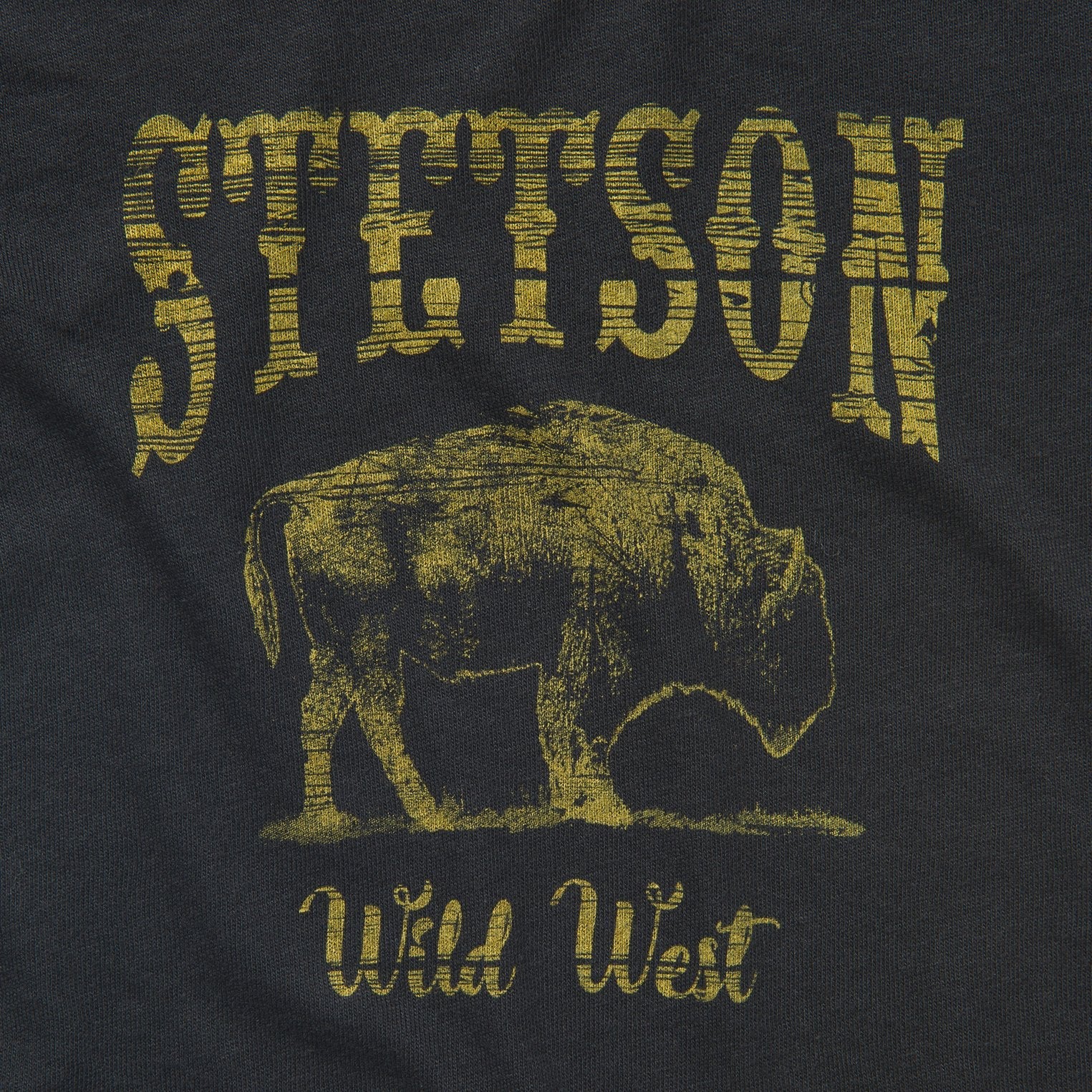Bison Graphic Tee Black | Stetson