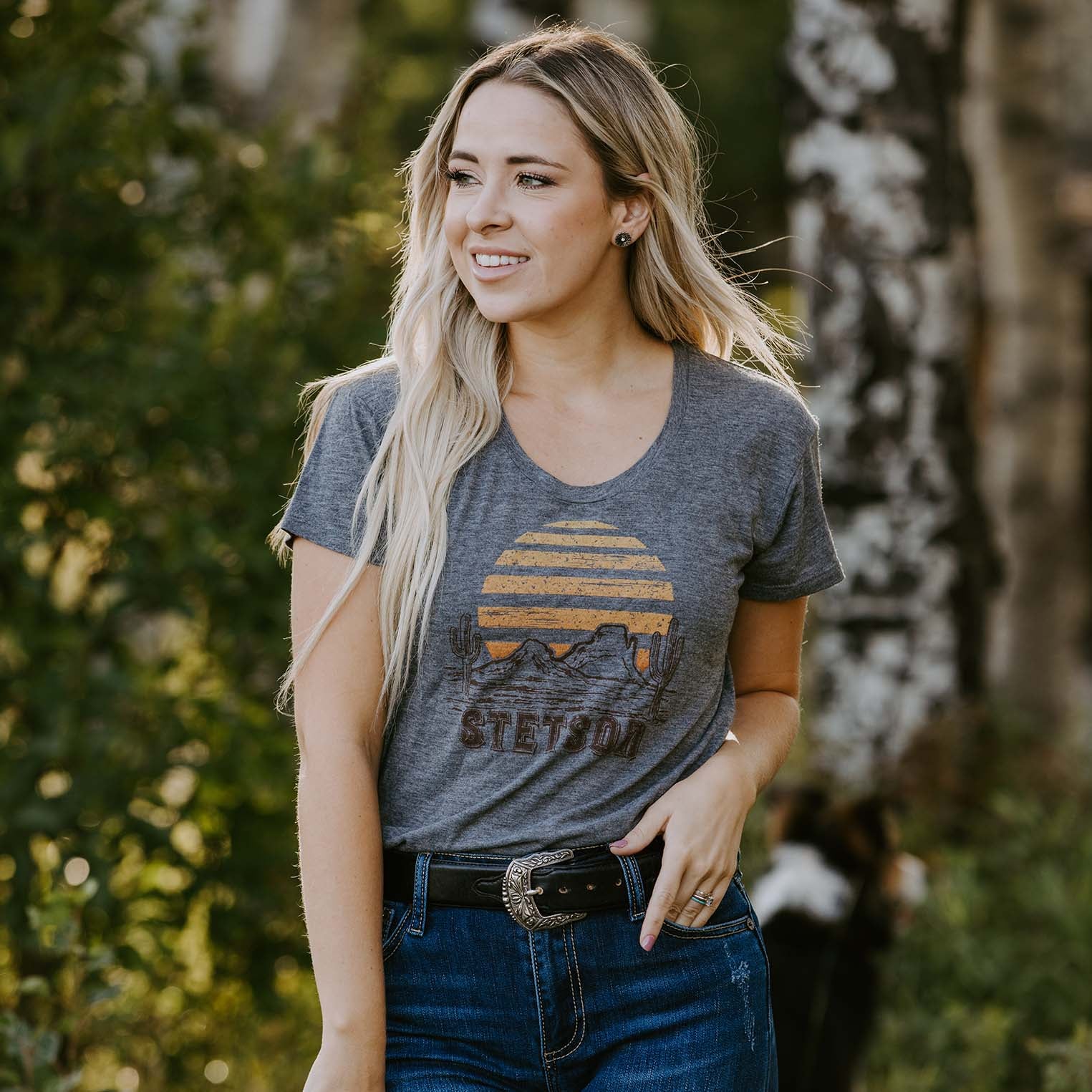 Sunset Graphic Tee Grey | Stetson