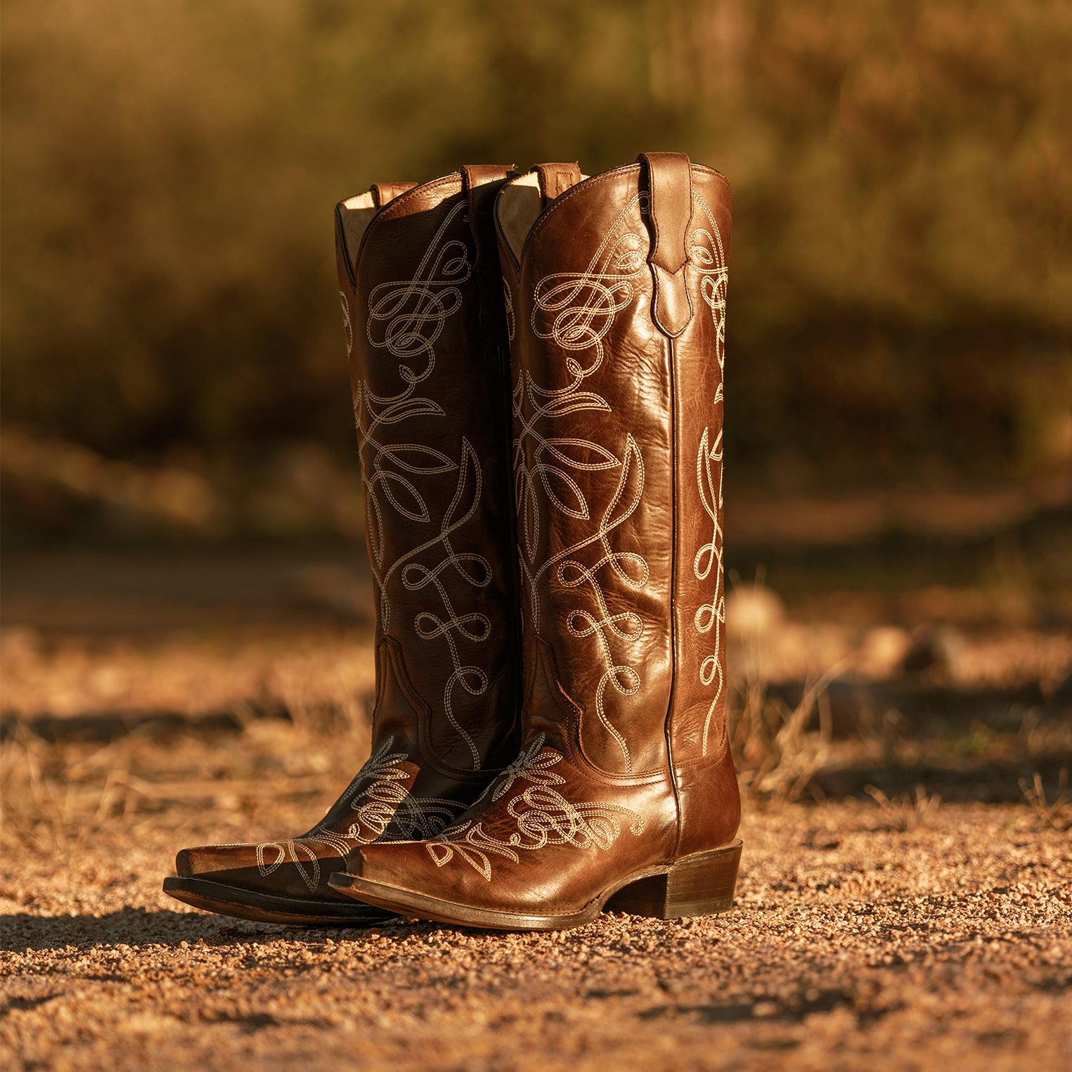 Adeline Burnished Brown Back Zip Cowboy Boot Brown | Stetson