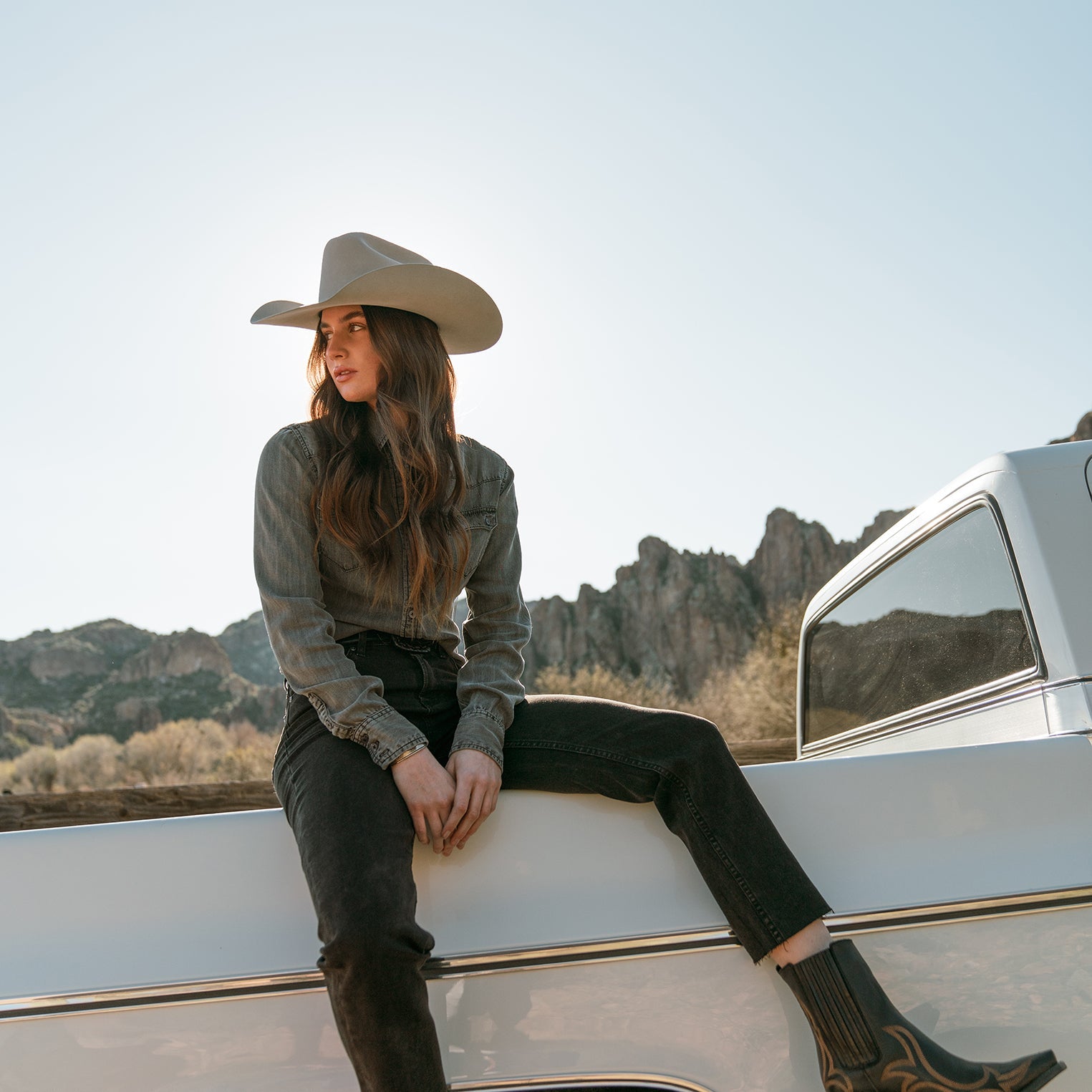 Shasta 10X Premier Cowboy Hat Mist Grey | Stetson