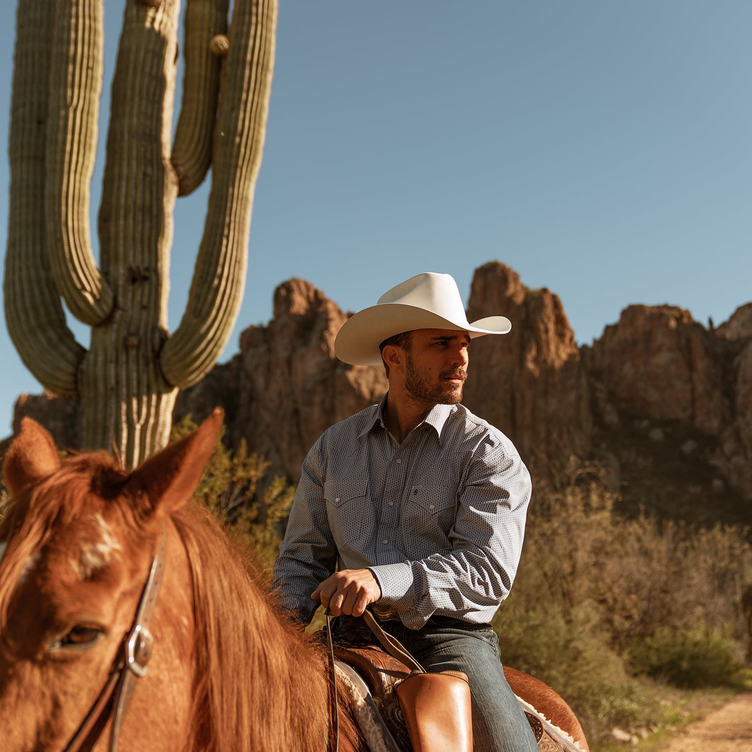 Shasta 10X Premier Cowboy Hat White | Stetson