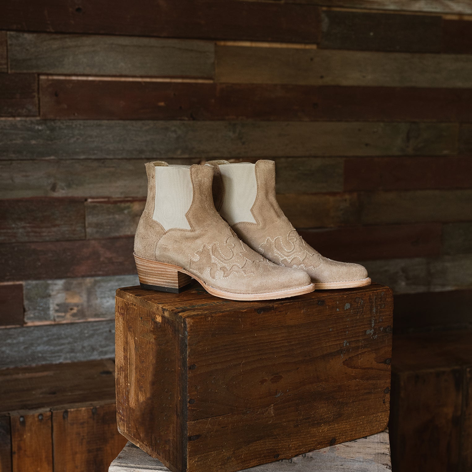 Zoey Tan | Stetson