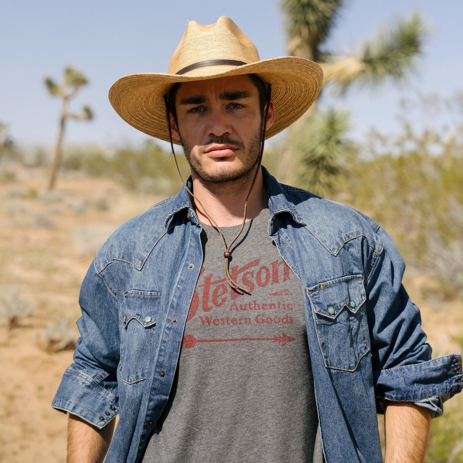 Vintage Arrow Graphic Tee Grey | Stetson