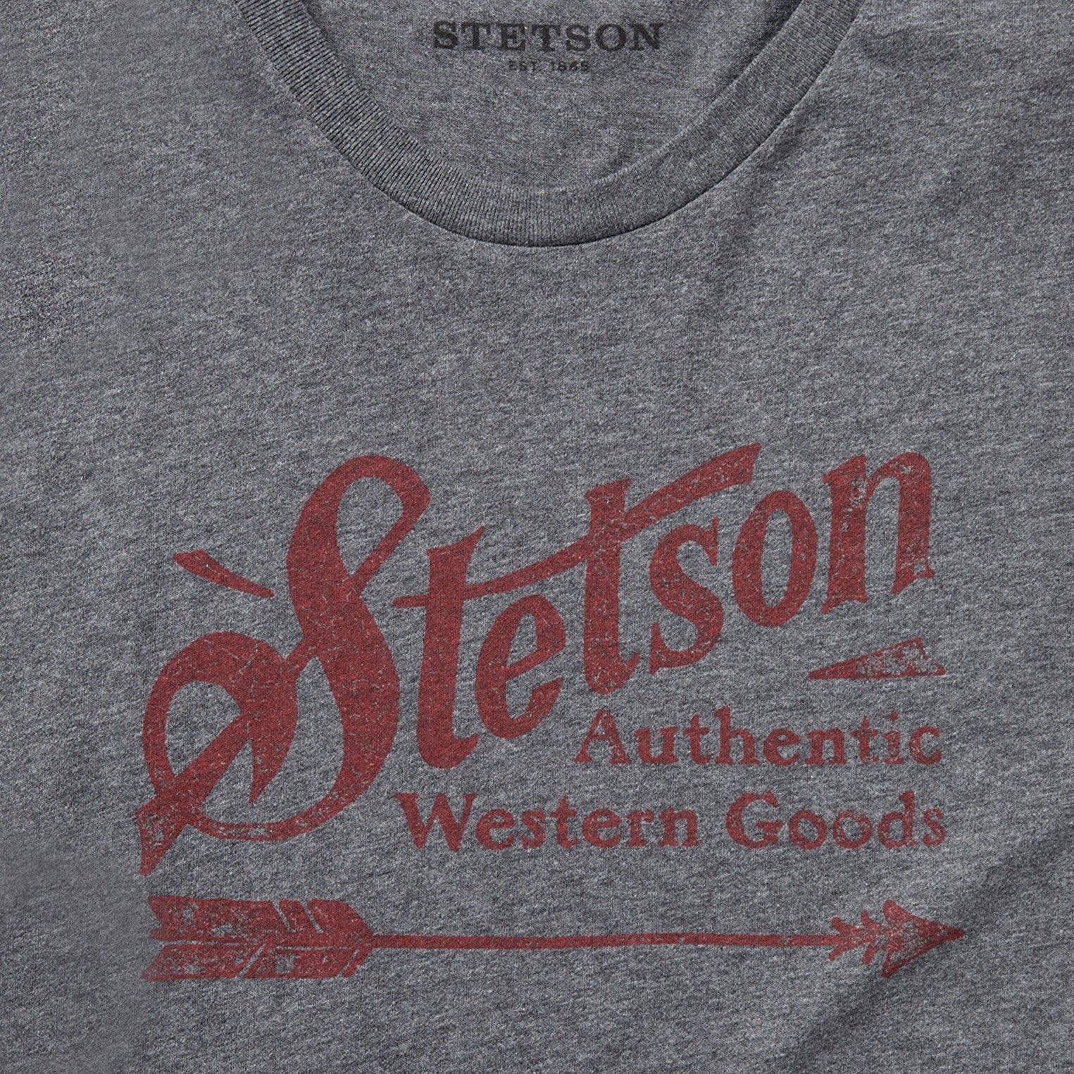 Vintage Arrow Graphic Tee Grey | Stetson
