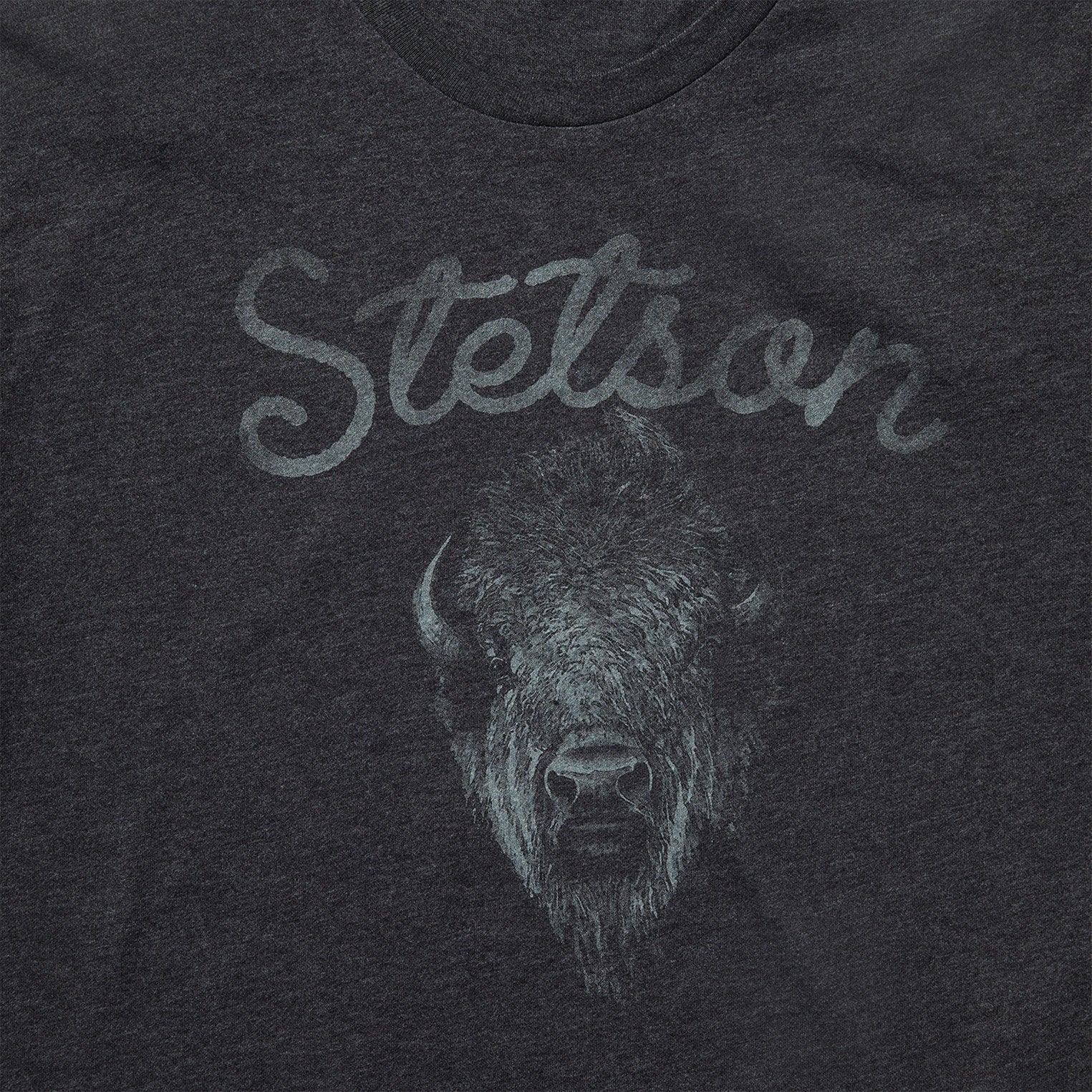 Bison Spirit Graphic Tee Black | Stetson