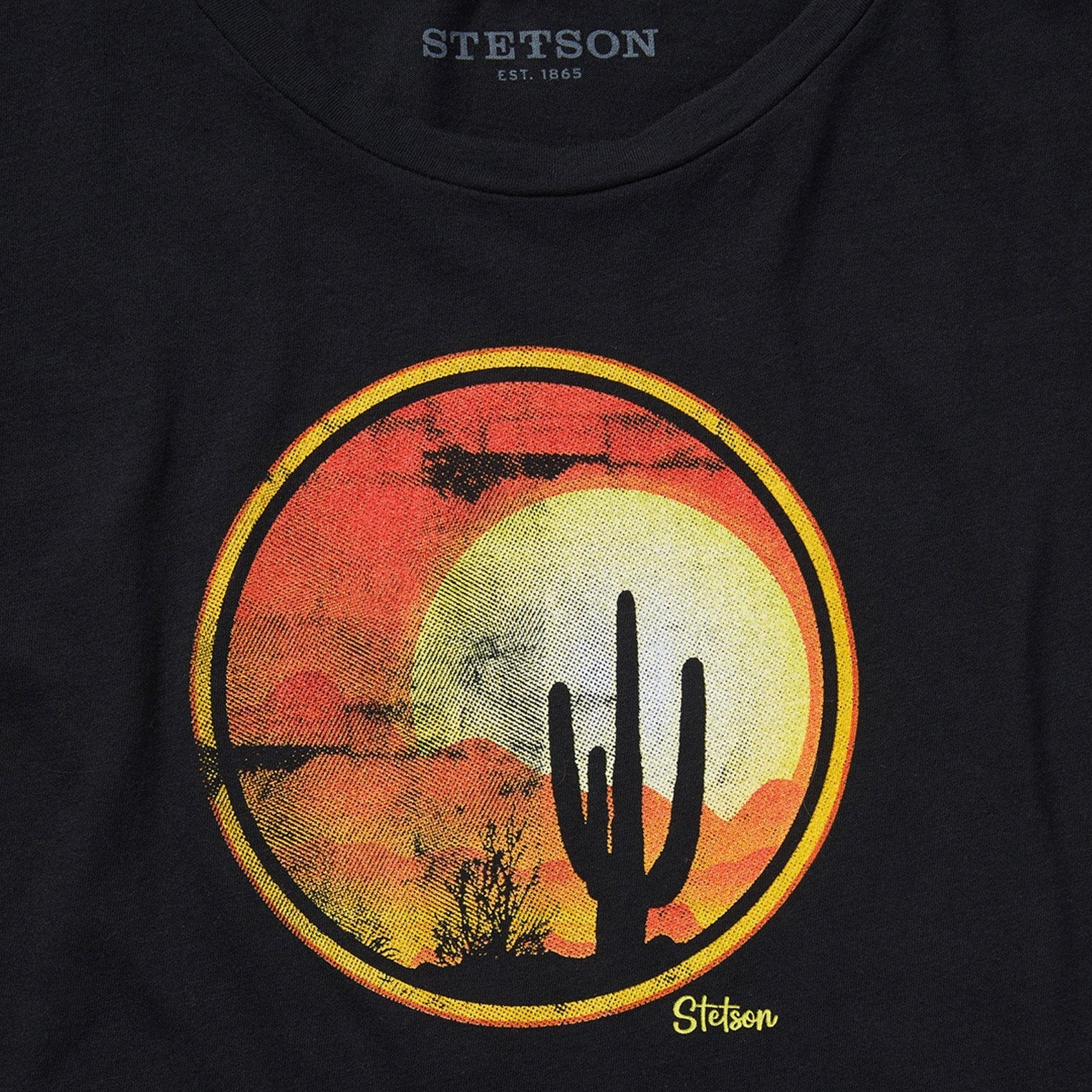 Sunset Saguaro Graphic Tee Black | Stetson