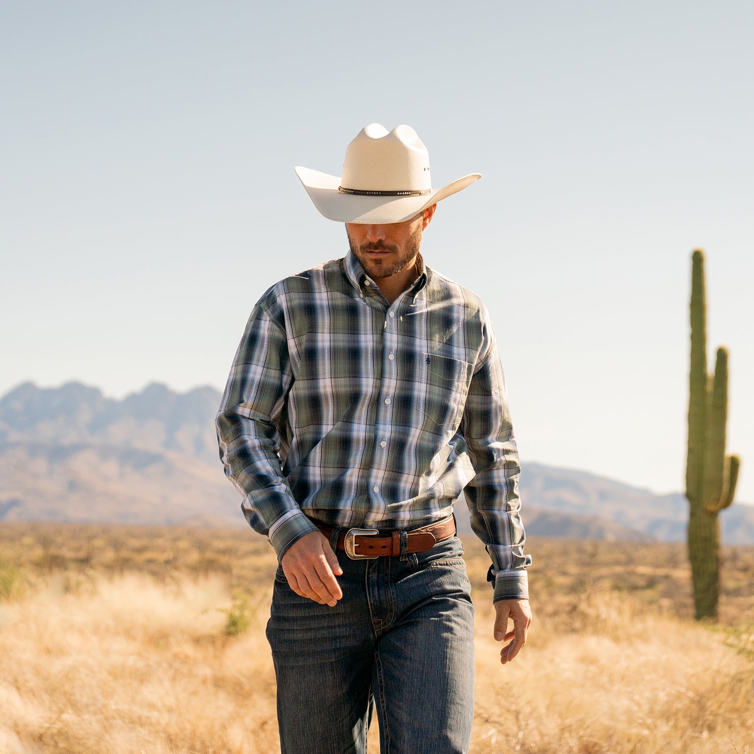 Lucky Diamond Plaid Button Front Shirt Green | Stetson