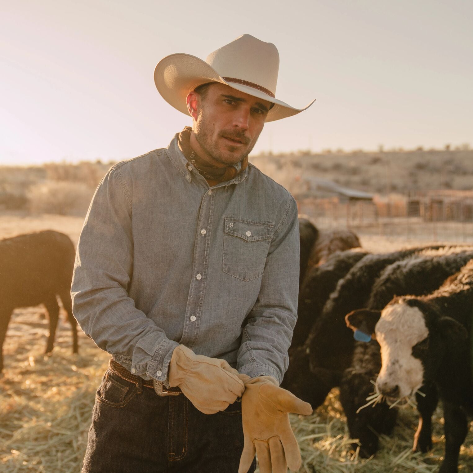 Stanhope 10X Straw Cowboy Hat Natural | Stetson
