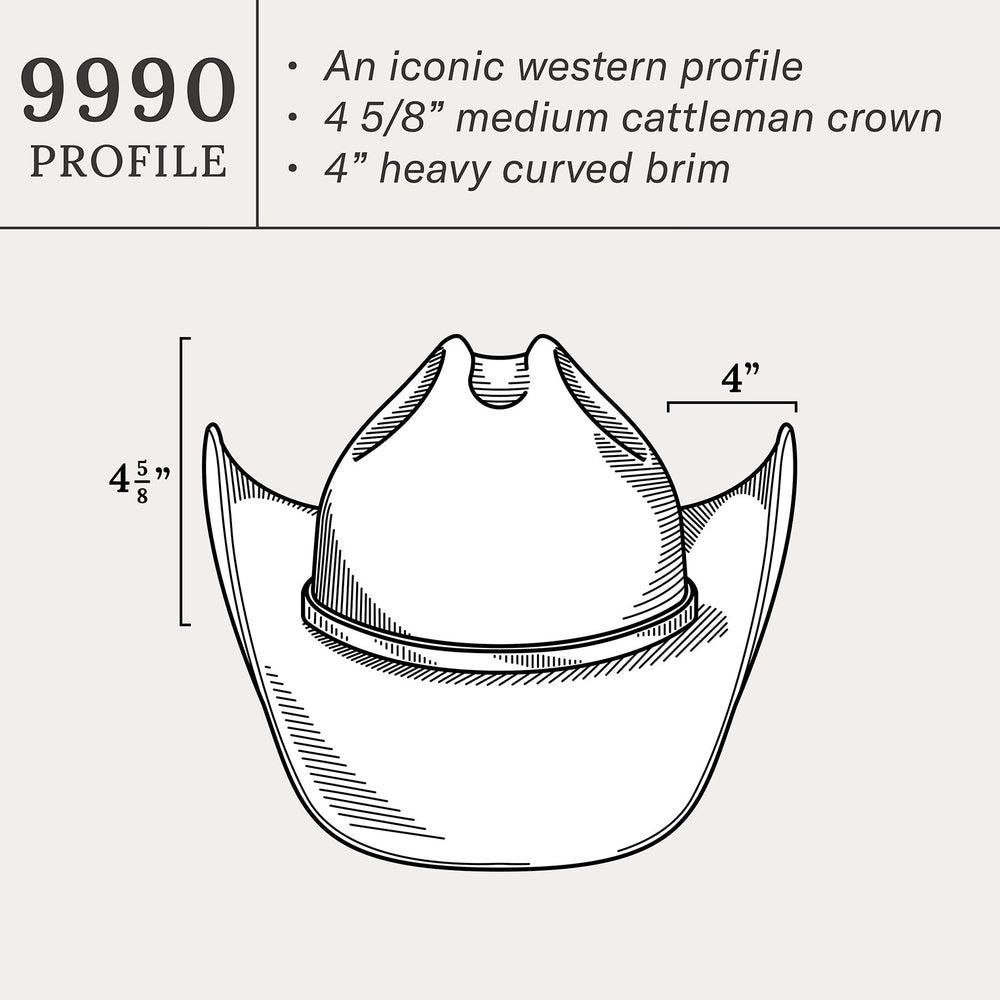 Boss of the Plains 6X Cowboy Hat Black | Stetson