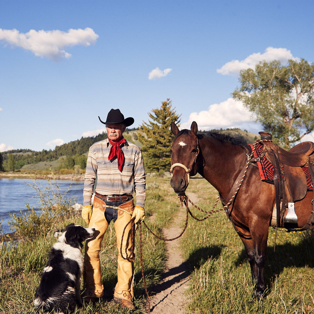 Blue Stripe Flannel Western Shirt Blue | Stetson