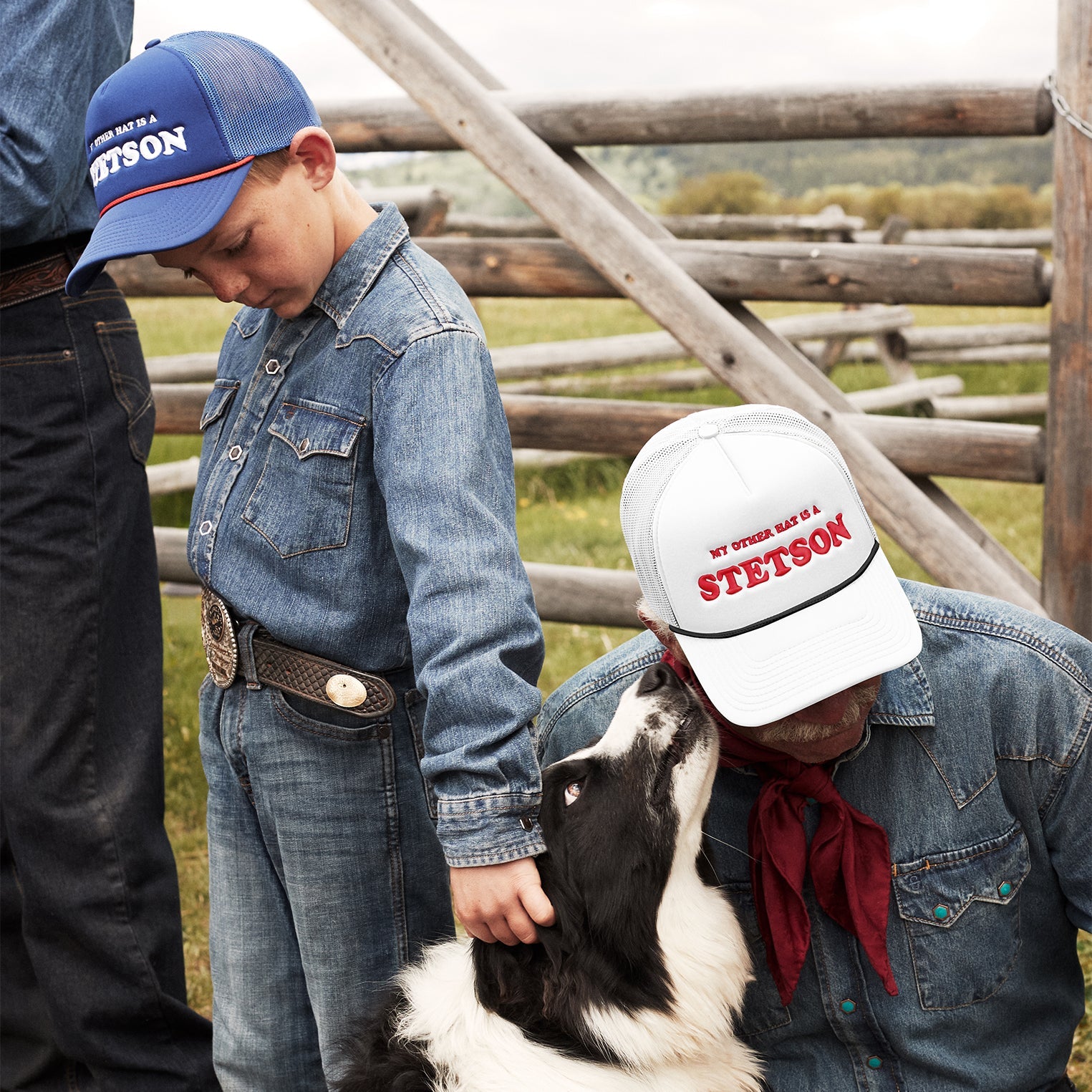 My Other Hat Is A Stetson Trucker Cap Royal | Stetson