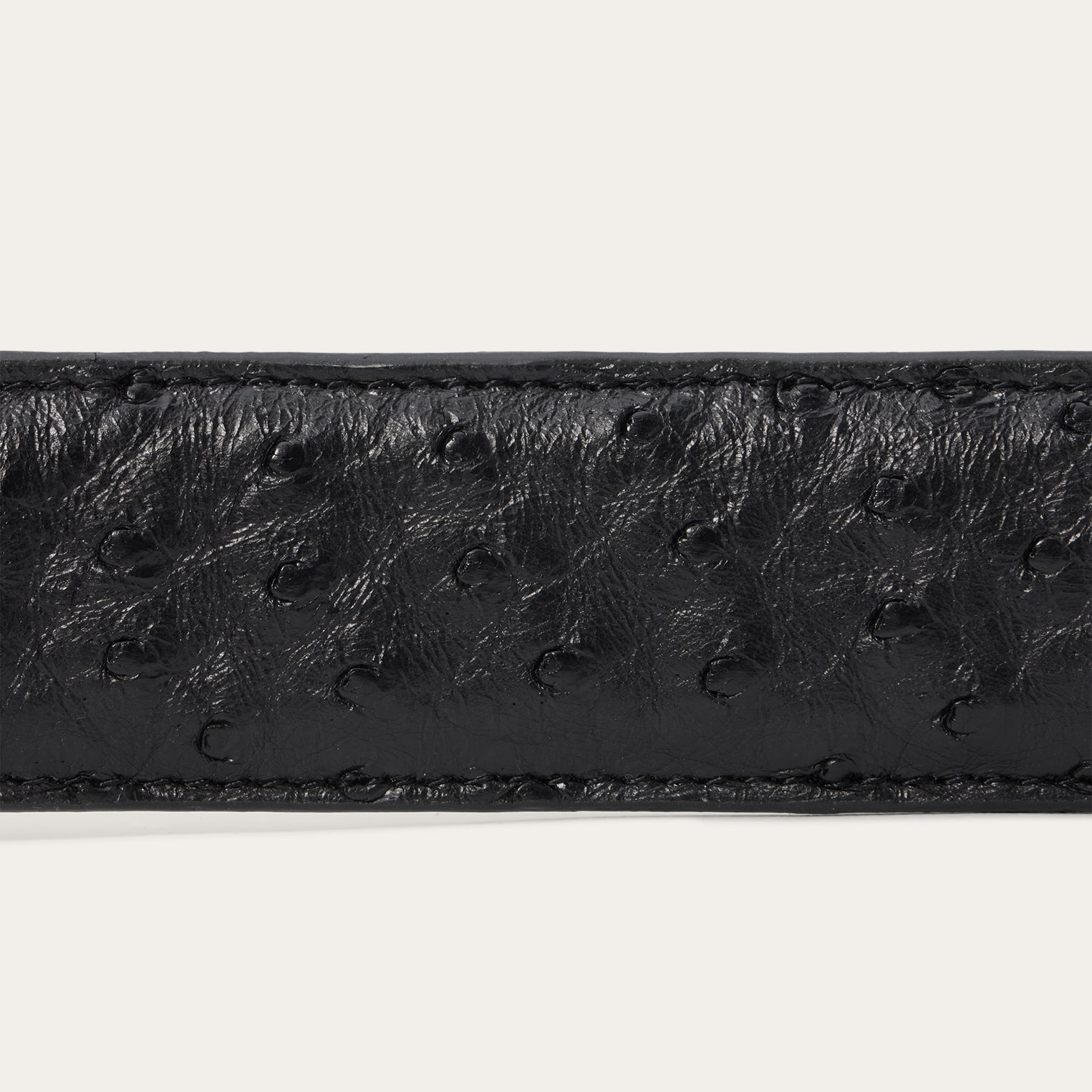Ostrich Western Tab Belt Black | Stetson