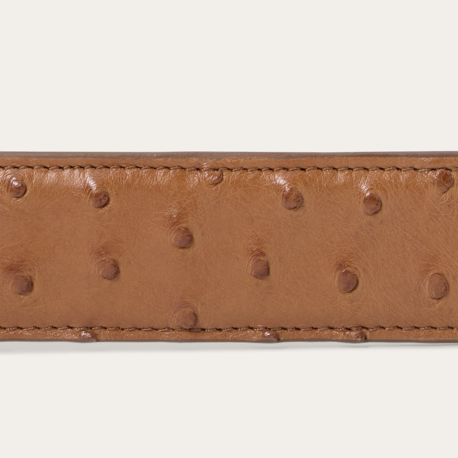 Ostrich Western Tab Belt Antique Cognac | Stetson