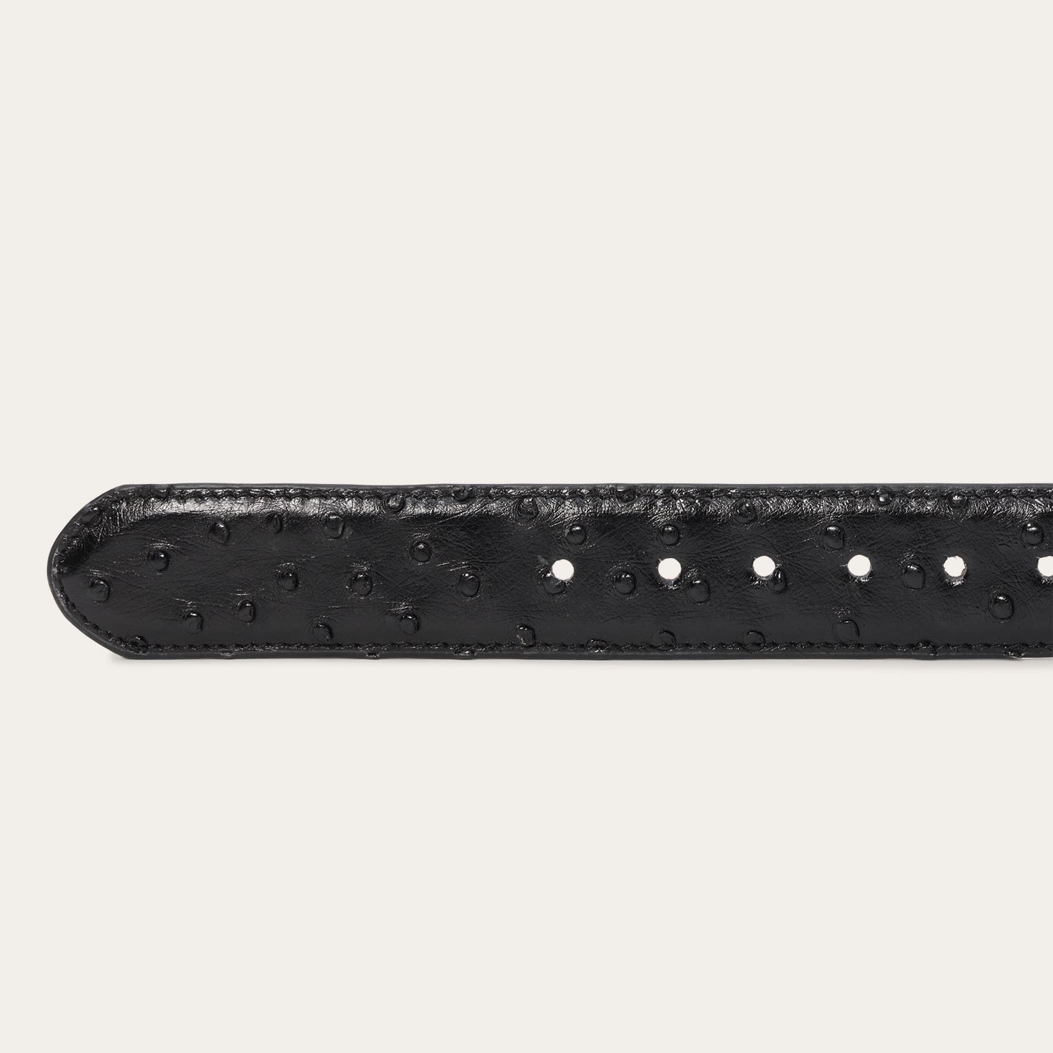 Ostrich Western Tab Belt - 1 1/4" Width Black Classic | Stetson