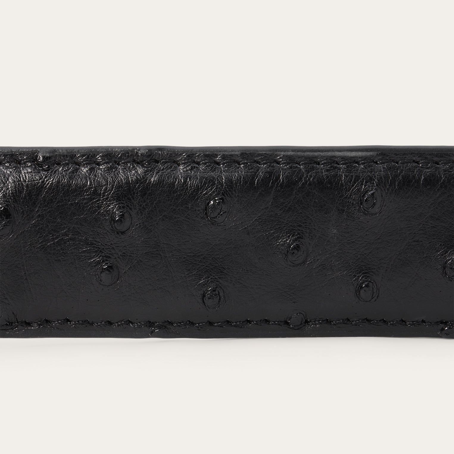 Ostrich Western Tab Belt - 1 1/4" Width Black Classic | Stetson