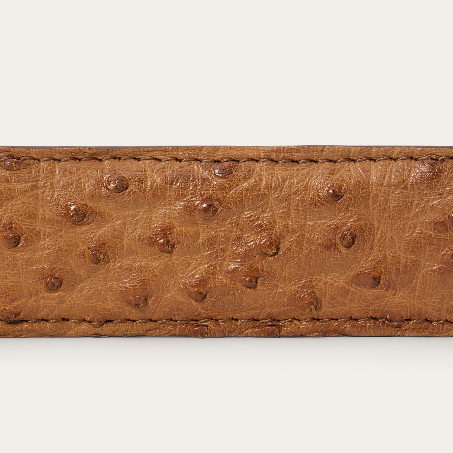 Ostrich Western Tab Belt - 1 1/4" Width Antique Cognac | Stetson