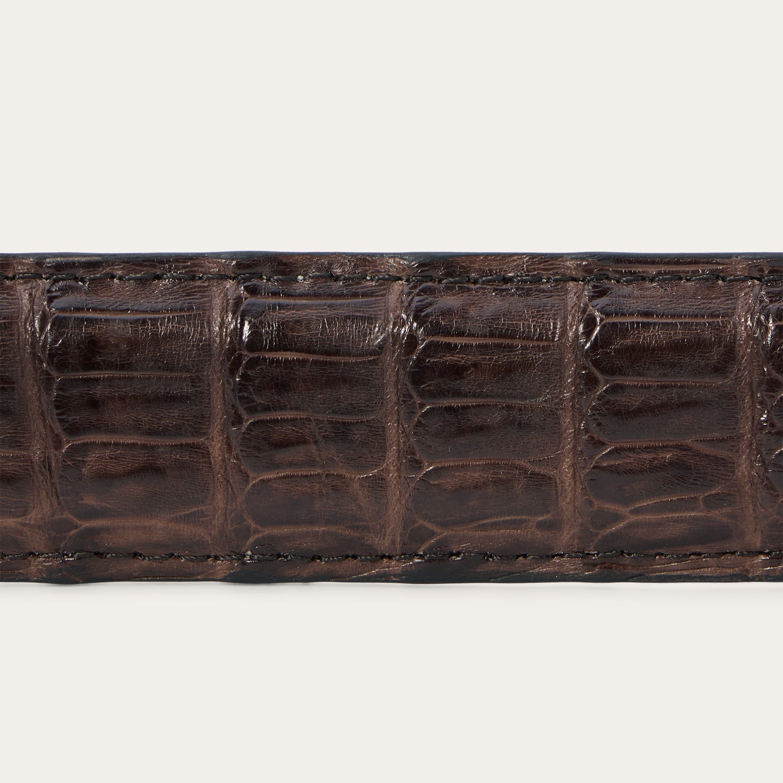 Caiman Western Tab Belt - 1 1/4" Width Cigar Classic | Stetson