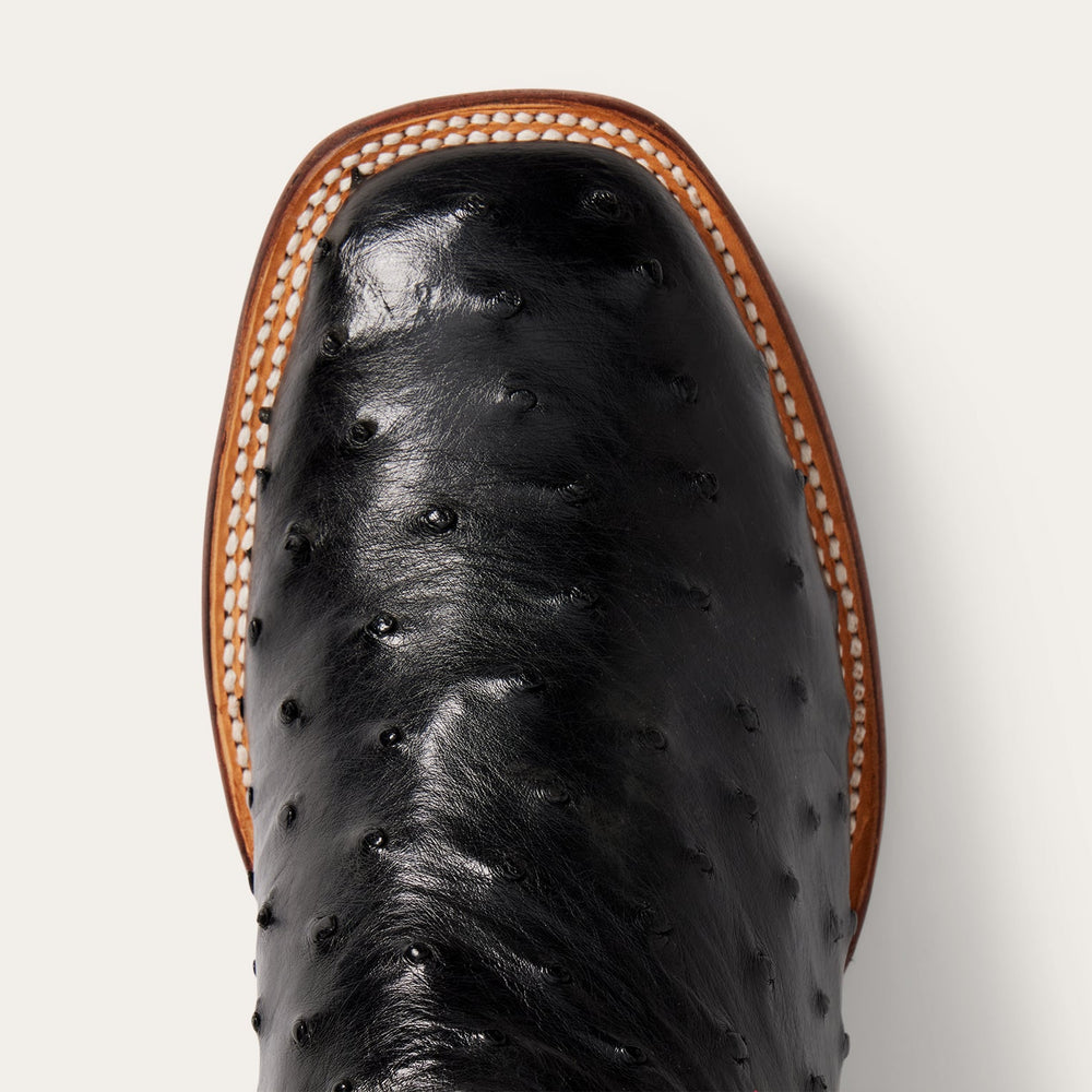Ozzy Ostrich Boot Black | Stetson