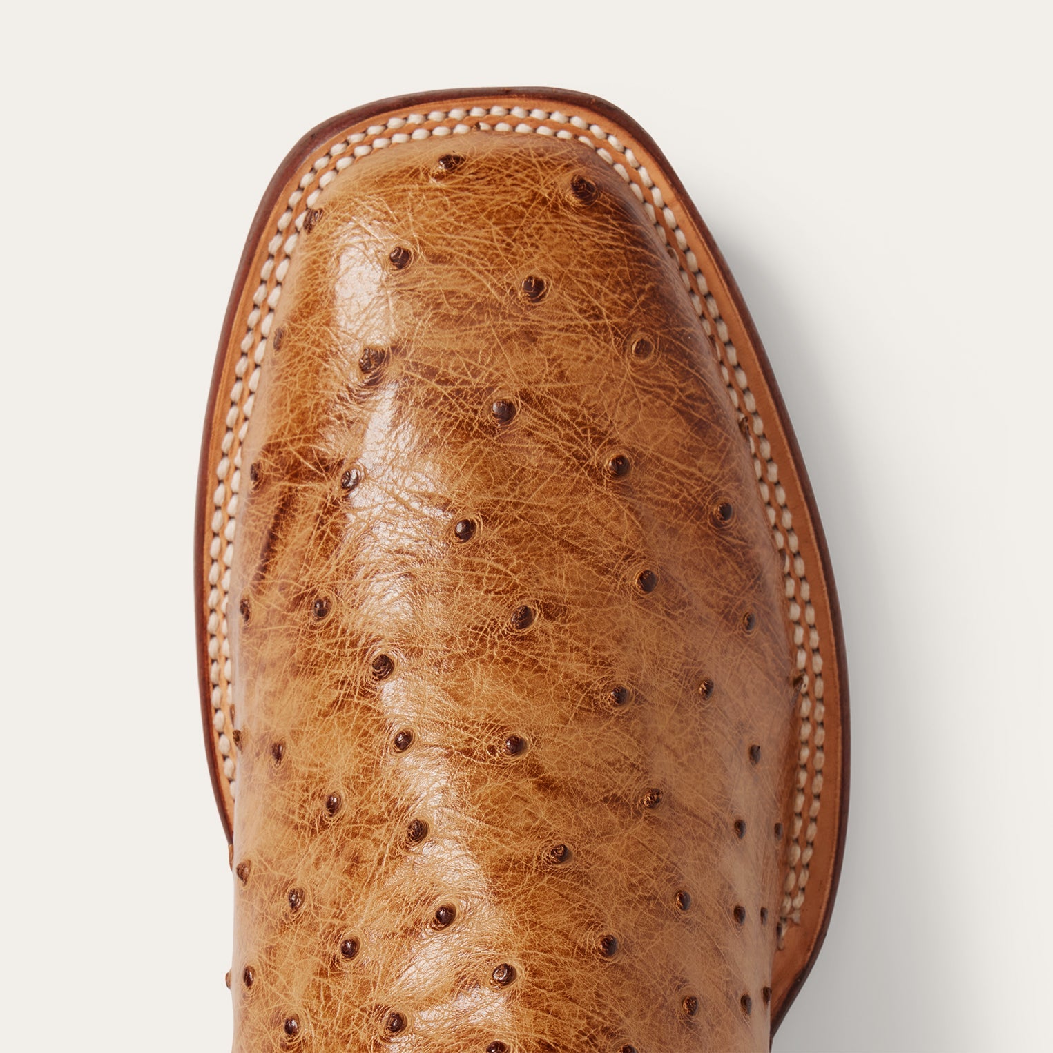 Ozzy Ostrich Boot Tan | Stetson