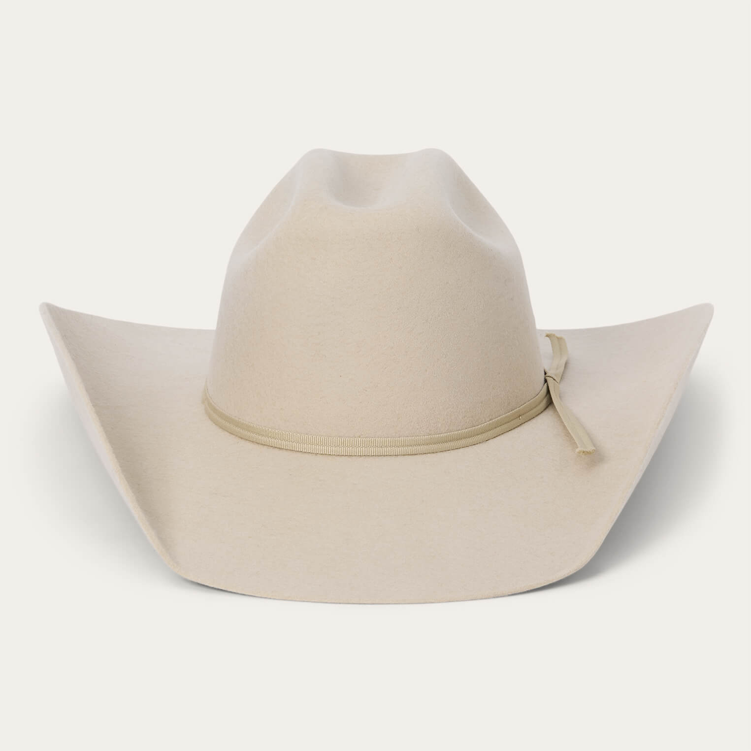Rodeo Jr. Youth Cowboy Hat Buck | Stetson