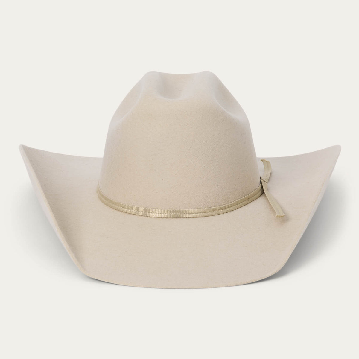 Rodeo Jr. Youth Cowboy Hat Buck | Stetson
