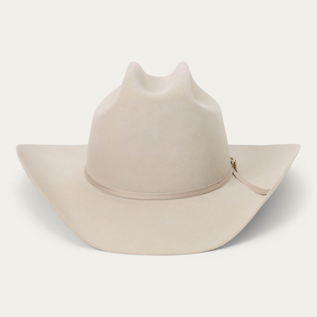 Regal 6X Cowboy Hat Silverbelly | Stetson