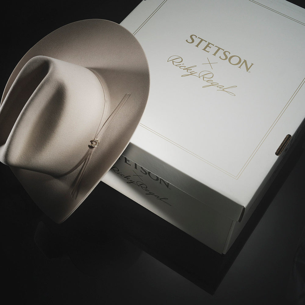 Regal 6X Cowboy Hat Silverbelly | Stetson