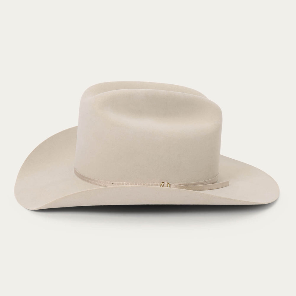 Regal 6X Cowboy Hat Silverbelly | Stetson
