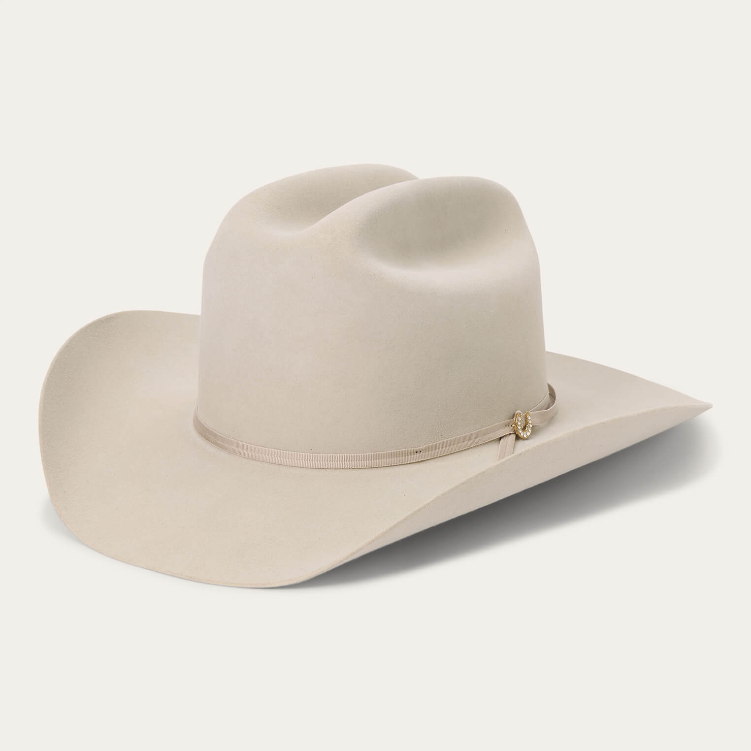 Regal 6X Cowboy Hat Silverbelly | Stetson