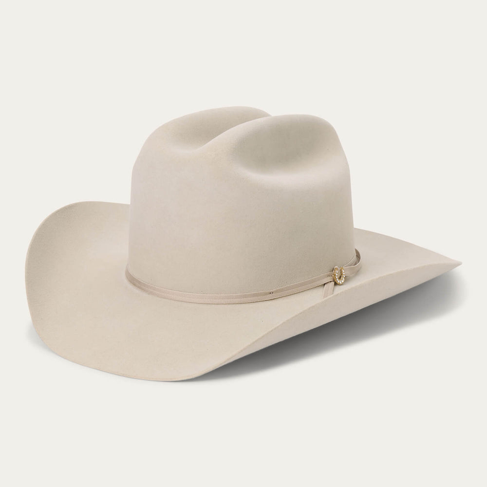 Regal 6X Cowboy Hat Silverbelly | Stetson