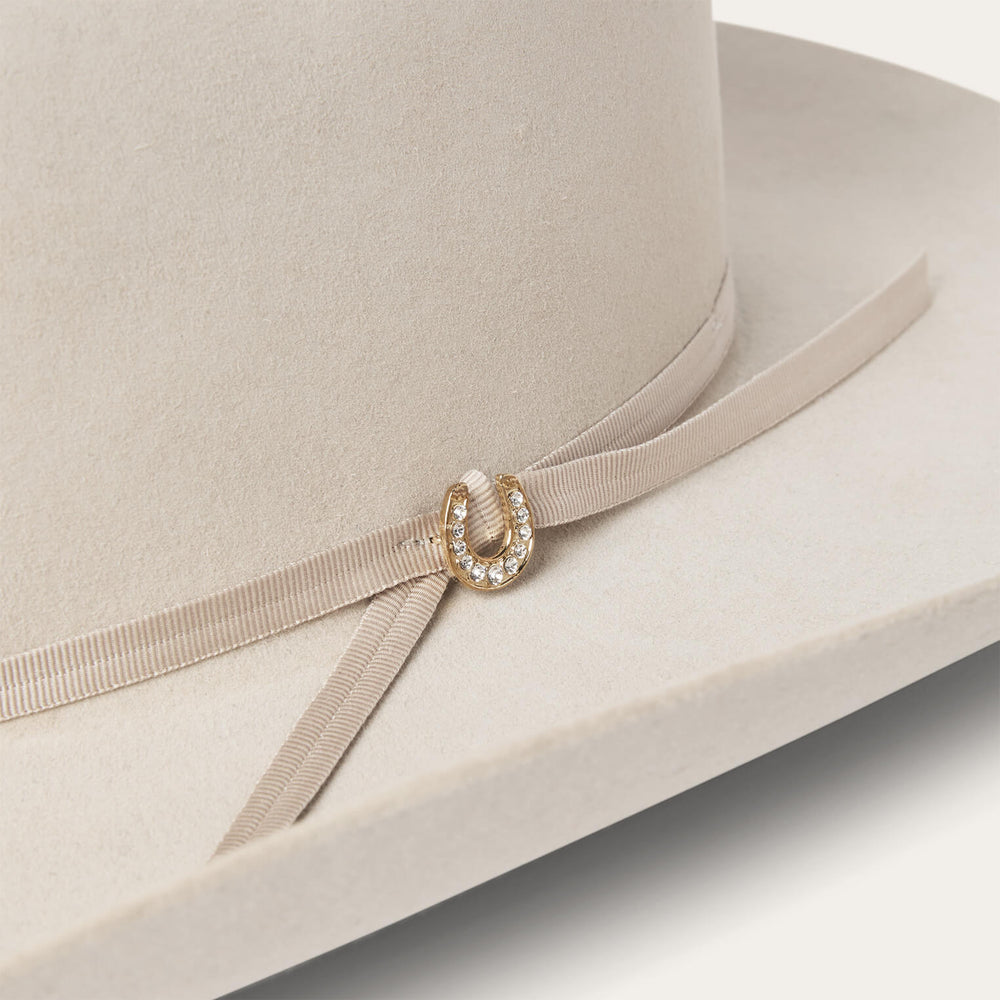 Regal 6X Cowboy Hat Silverbelly | Stetson