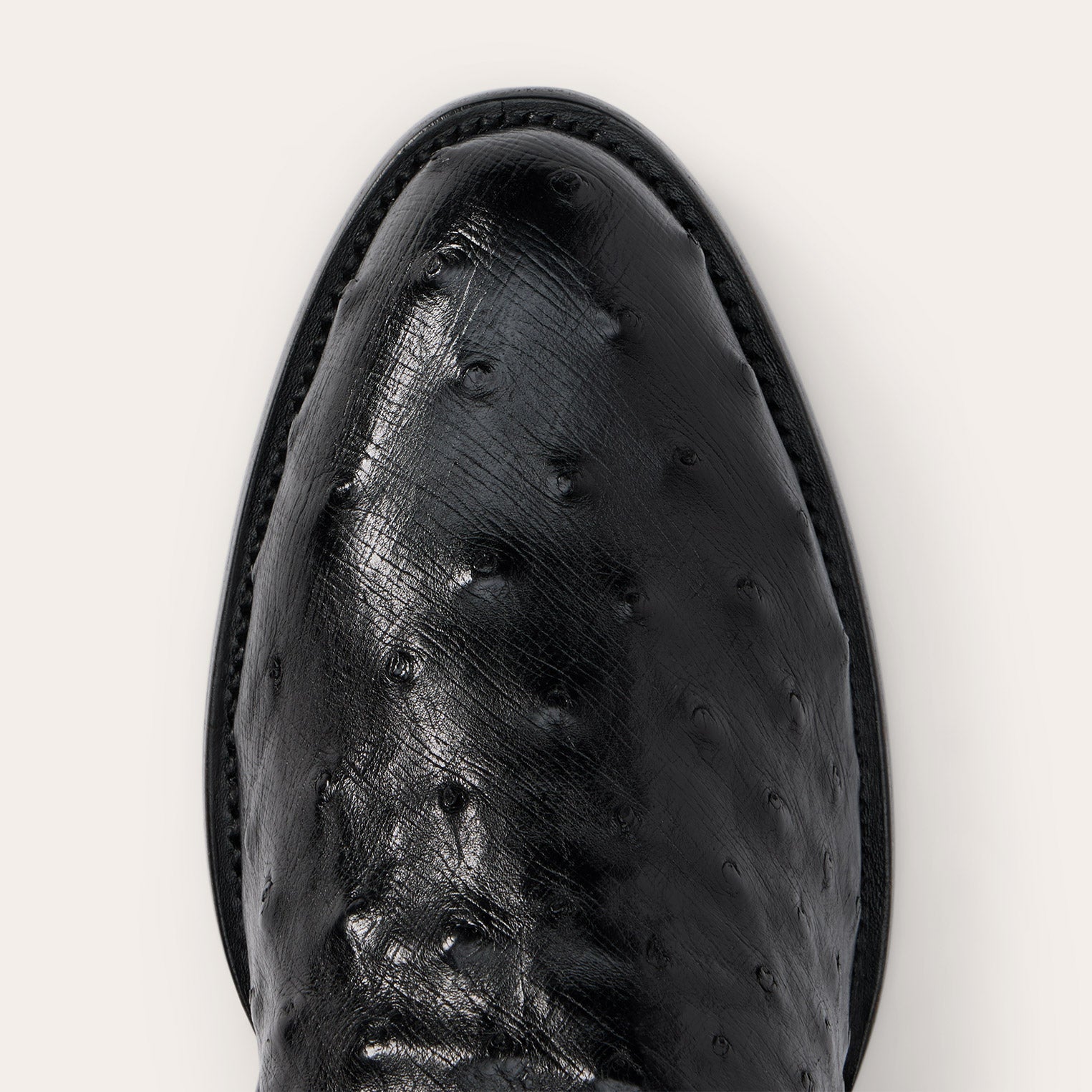 Austin Ostrich Roper Boots Black | Stetson
