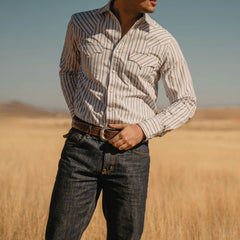 Ombre Stripe Western Shirt Brown | Stetson
