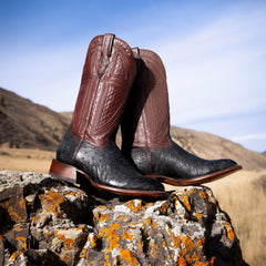 Dillon Ostrich Boots Black | Men Stetson Western