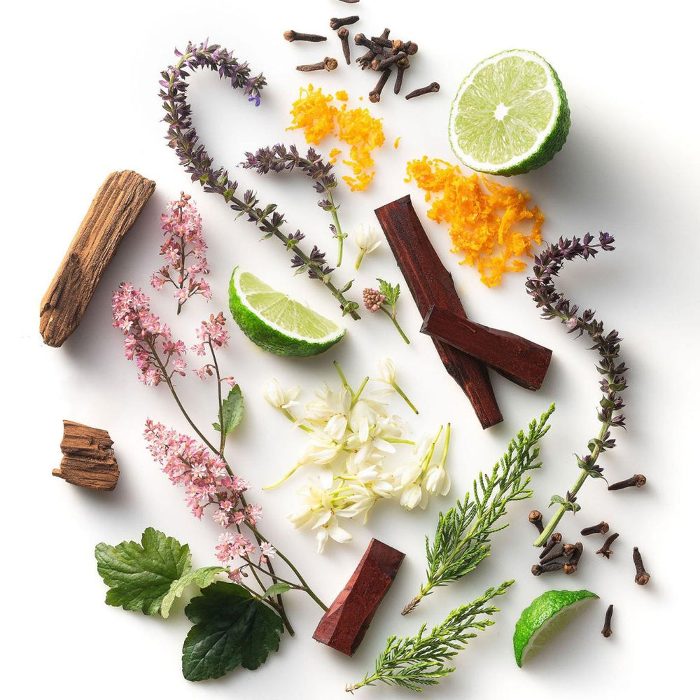 Stetson Oasis Body Spray | Men Stetson Grooming