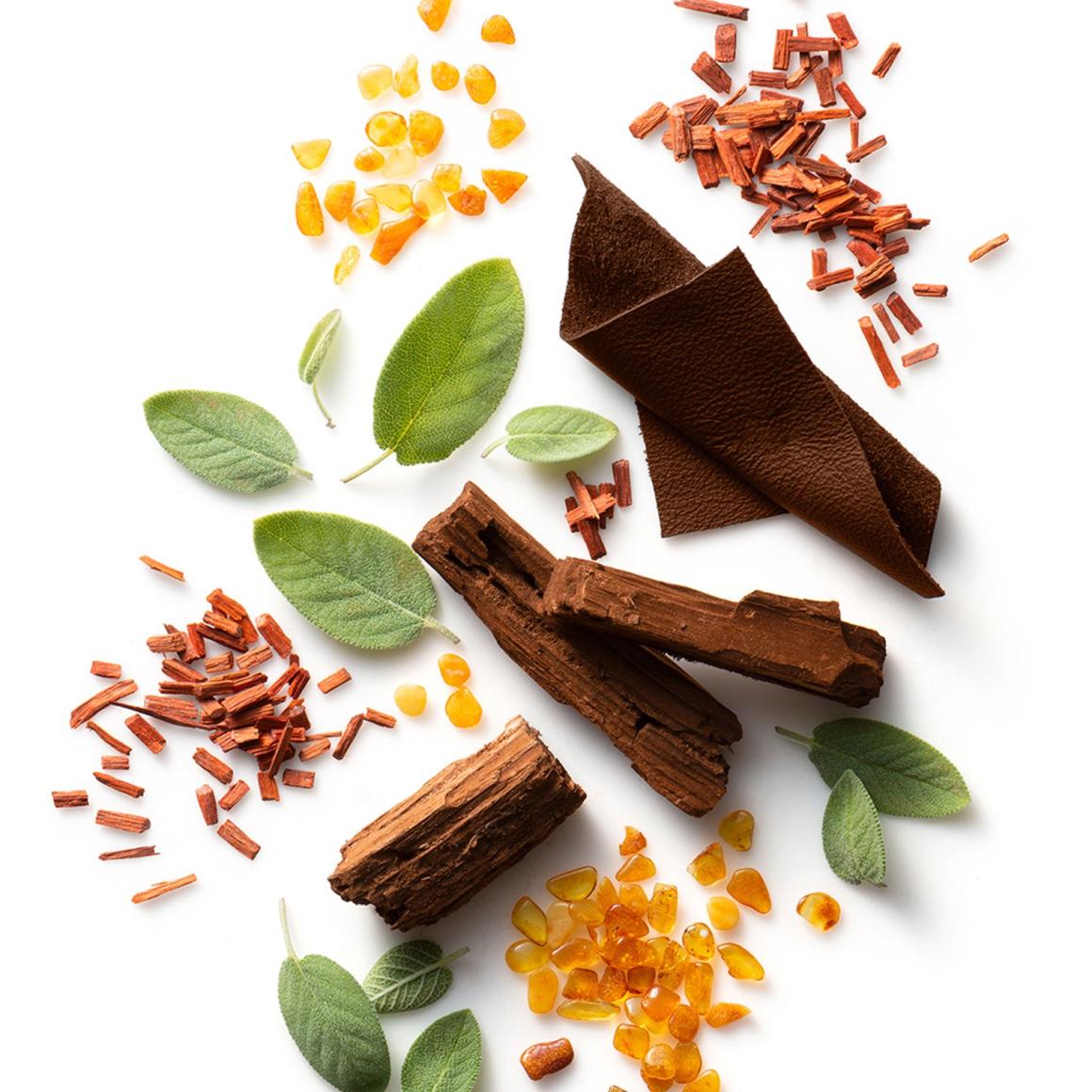 Stetson Spirit Face X Beard Moisture | Men Stetson Grooming