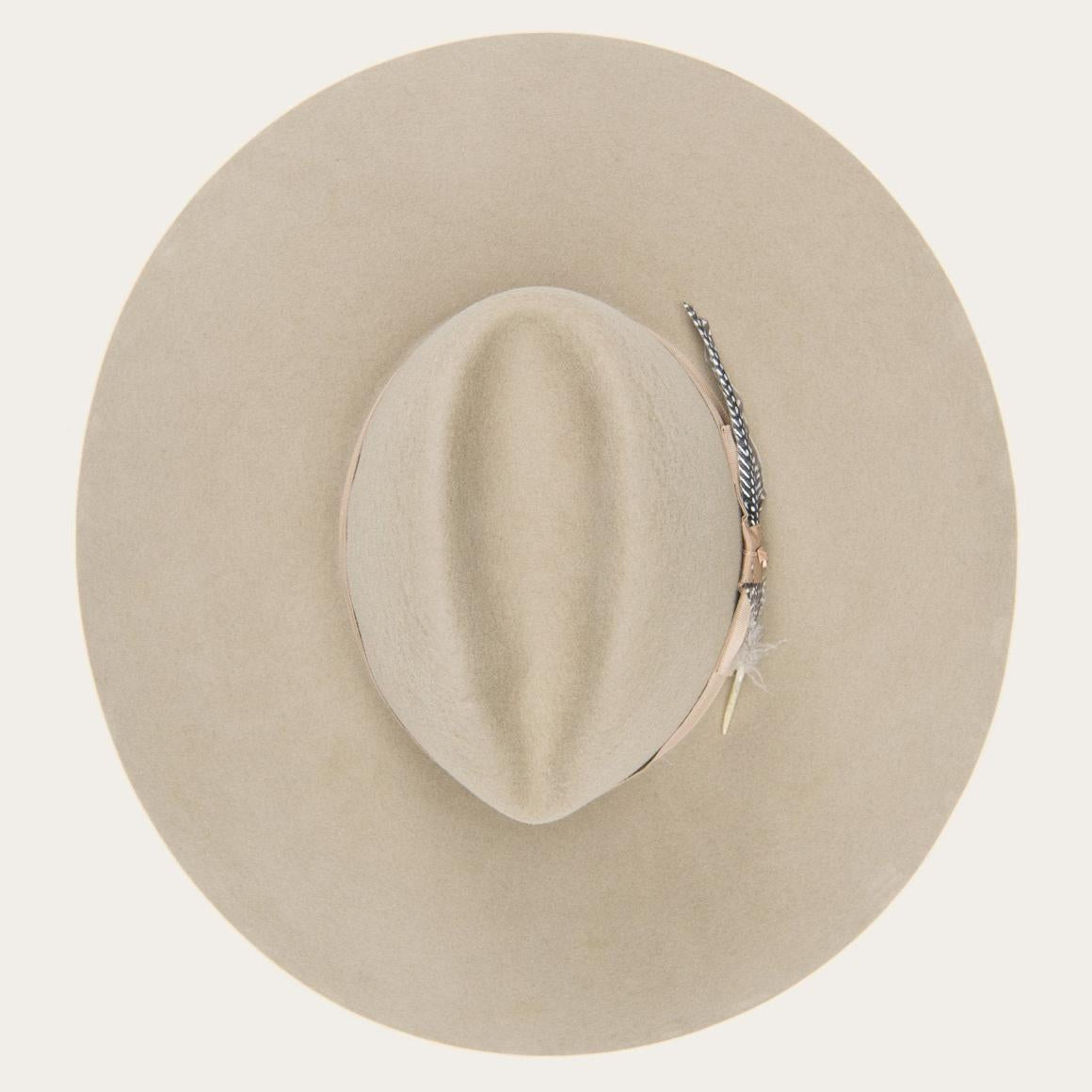 The Rapture Mushroom | Men/Women Stetson Fedora